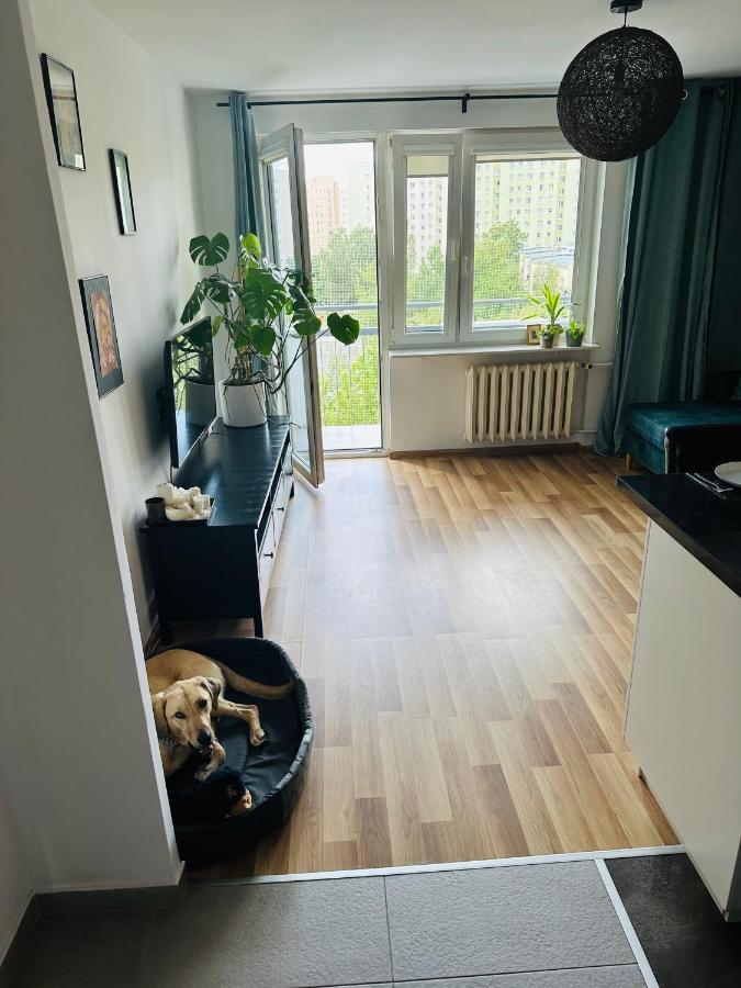 Pet'S House Warsaw Apartment Ngoại thất bức ảnh
